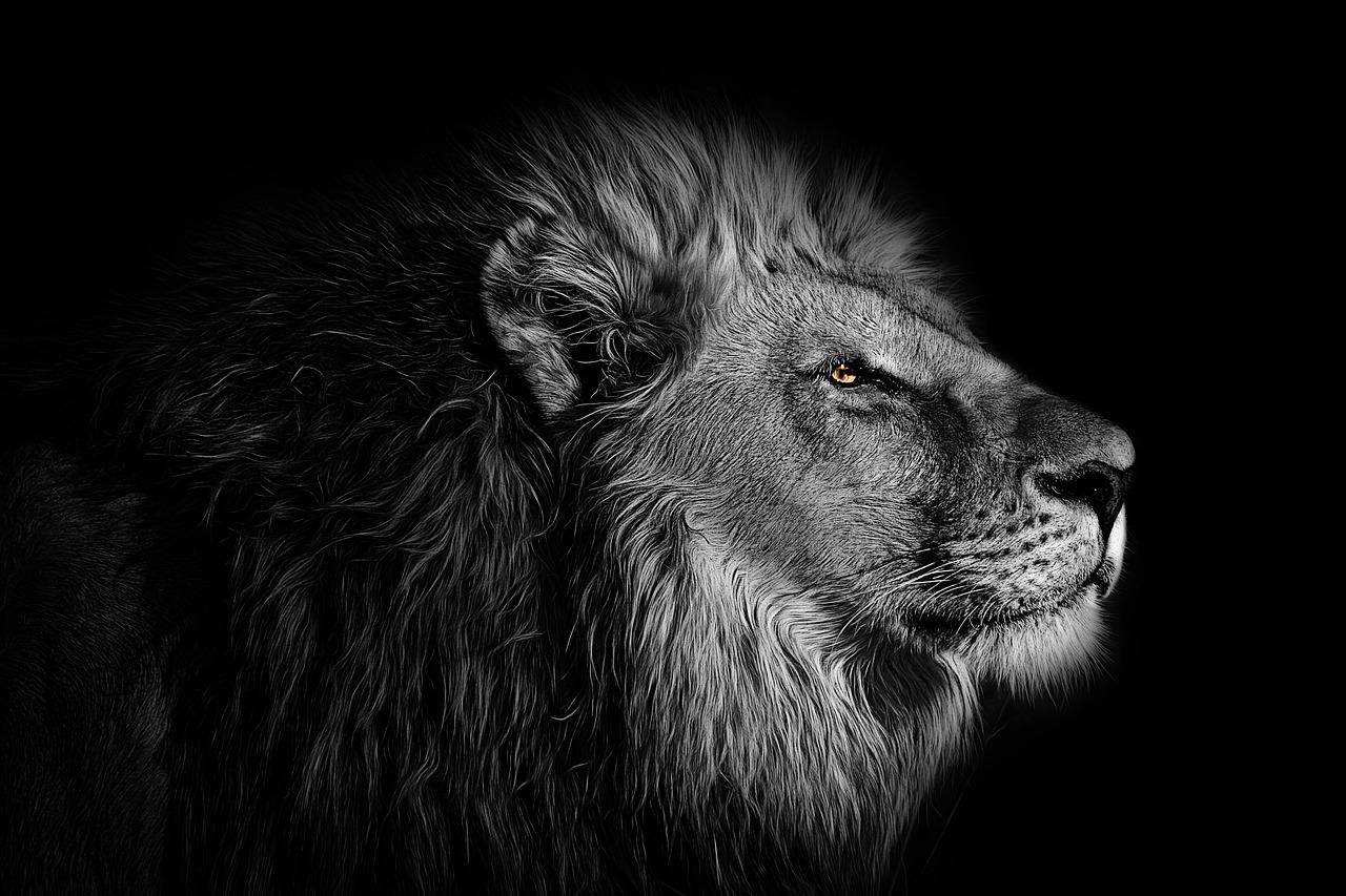 Rudolf II and Mohamed: The Emperor and the Lion Said to Share One Fate